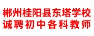 郴州桂陽縣東塔學校